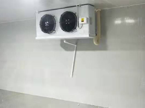 保鮮庫(kù)風(fēng)機(jī)